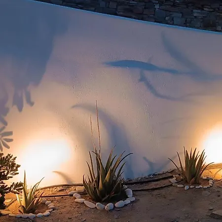 Sweet Nikorenia 1 * Krotiri